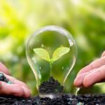 Polacy coraz mniej zainteresowani zmianą klimatu – wyniki badania Flora Food Group
